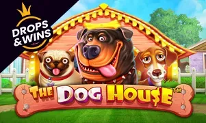 Coldbet The Dog House — automat online od Pragmatic Play, Polska