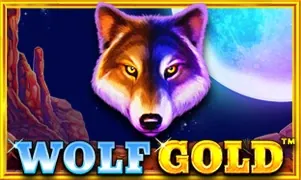 Coldbet Wolf Gold — automat online od Pragmatic Play, Polska